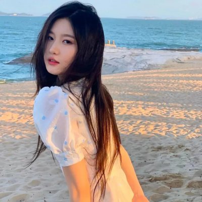 狮心王理查海报
